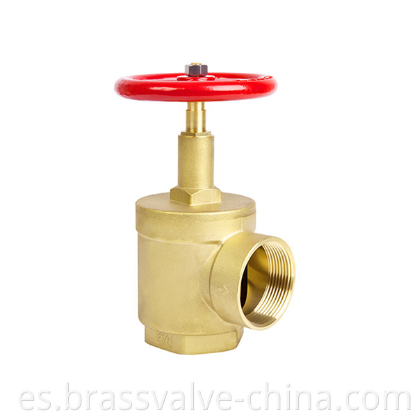 Internal Hydrant Brass Fire Landing Valve Angle Type